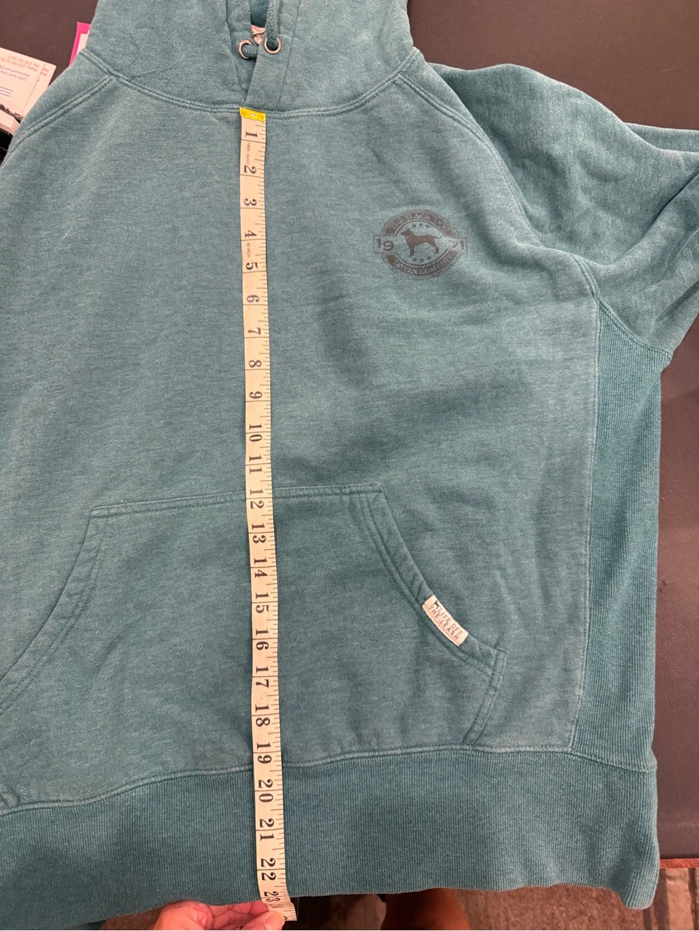 The Black Dog Teal Pullover Hoodie with Subtle Logo - Picture 5 of 13
